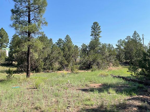 2nd image of 1092 Mogollon Cir