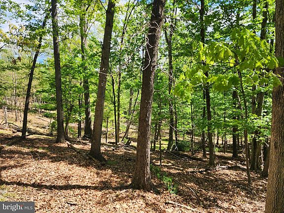 2nd image of 5 Pine Grove Rd