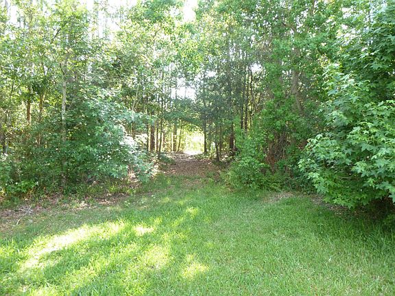 5th image of 10770 Appaloosa Dr