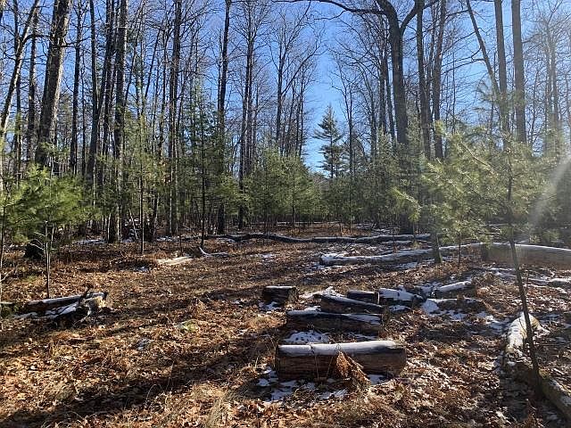 1st image of ON Birchwood Dr