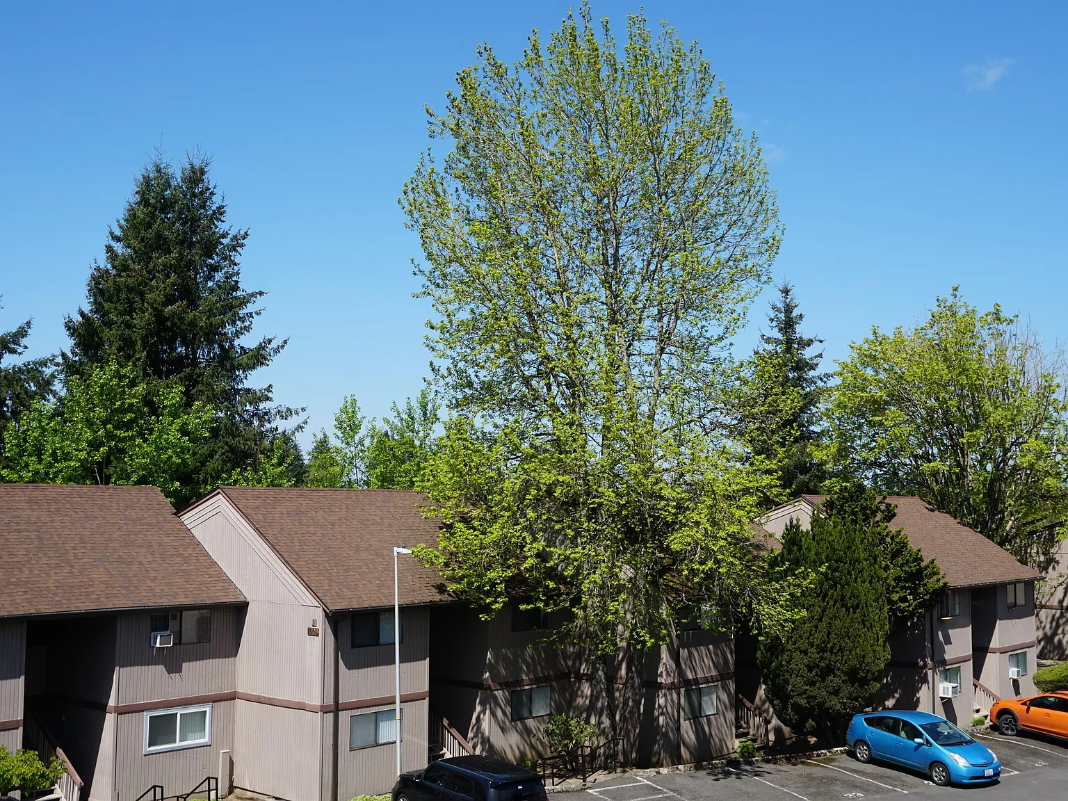 Ridgecrest Apts - C-12 — Photo 1