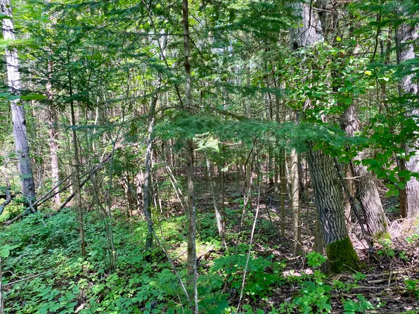 Zolner Rd, Cheboygan, MI 49721