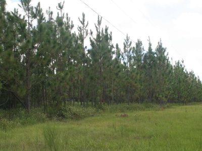 0 235th Rd, Live Oak, FL, 32060
