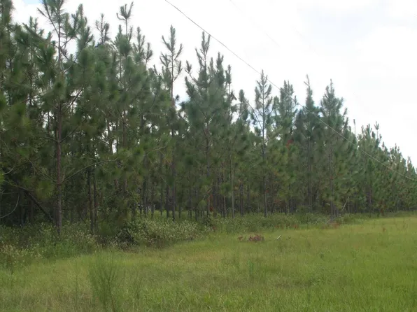0 235th Rd, Live Oak, FL 32060
