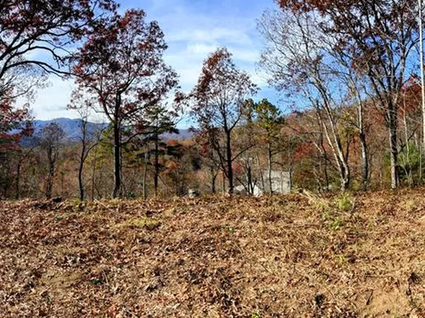 144 Sterling Ln, Bryson City, NC 28713