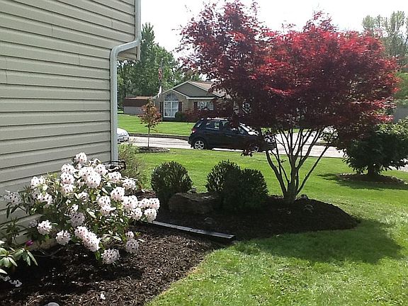 Landscaped side of house