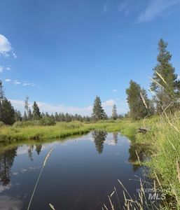 40 Black Pine Pl, McCall, ID, 83638