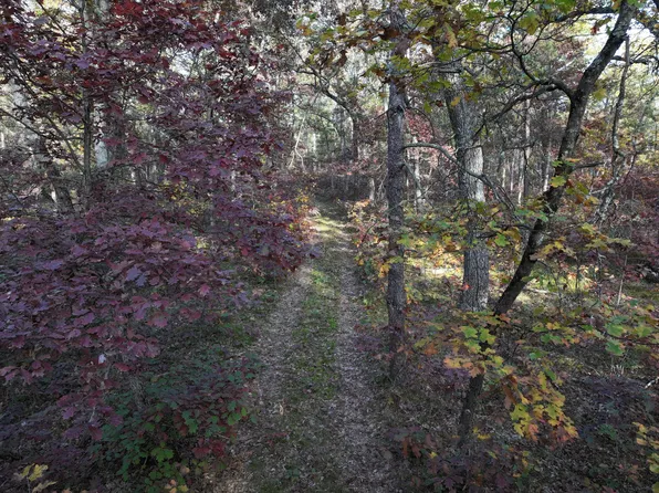 W Free Soil Rd, Free Soil, MI 49411