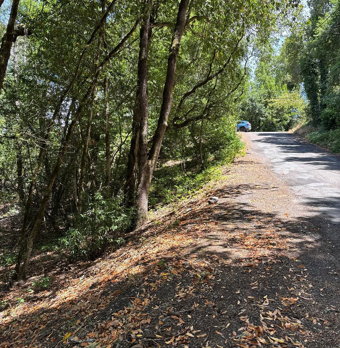 9868 Hillside Drive - Photo 2