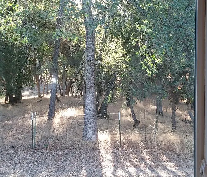 6730 Mystery Creek Ln — Photo 31