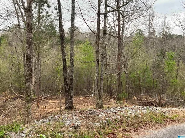 Lakeshore Dr, Oneonta, AL 35121