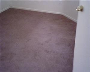 1st image of 637 N 12th St APT D