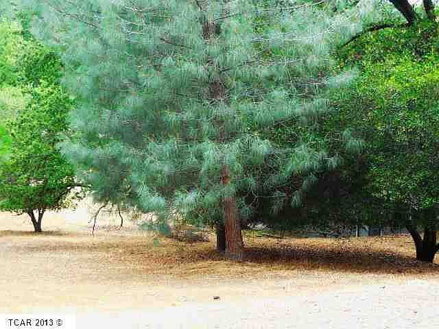 1st image of 20727 Forestwood Way