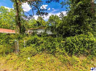 707 McGee St, Marion, SC 29571
