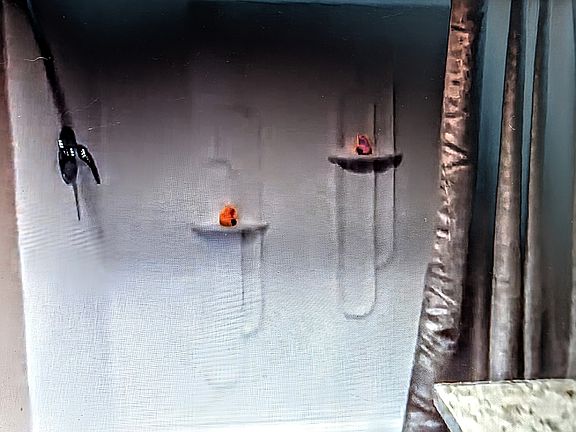 Large Master shower.