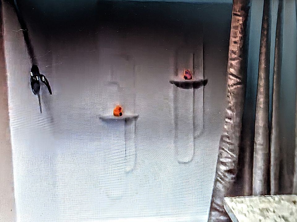 Large Master shower.