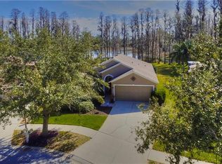 7838 Blue Spring Dr, Land O Lakes, FL 34637