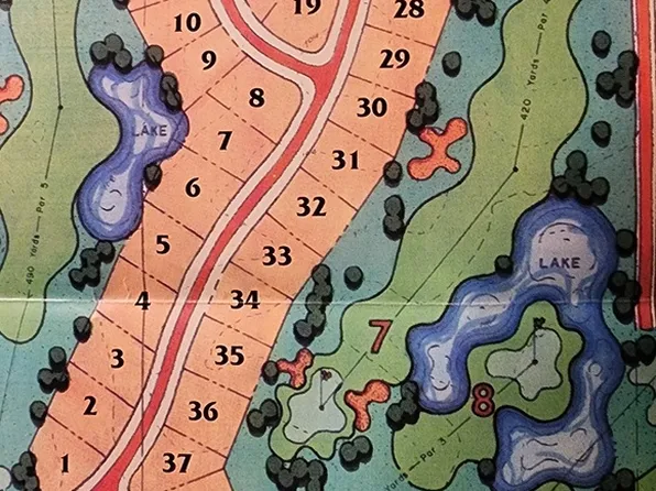 46 N Lake Dr, Atlanta, IL 61723