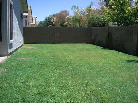 Large grassy fenced