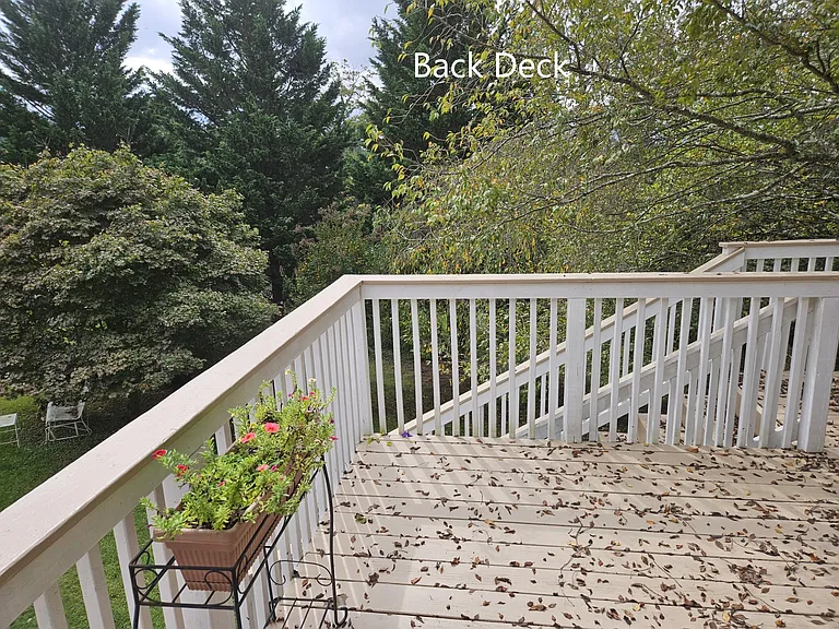 Back deck