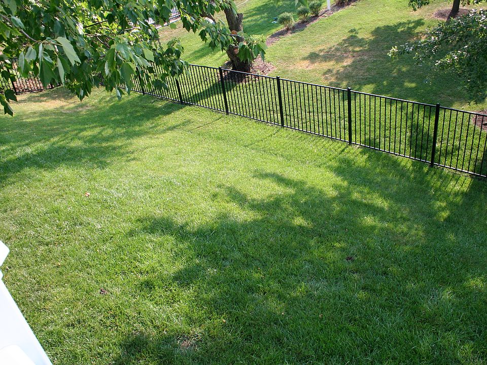 Fenced Back Yard