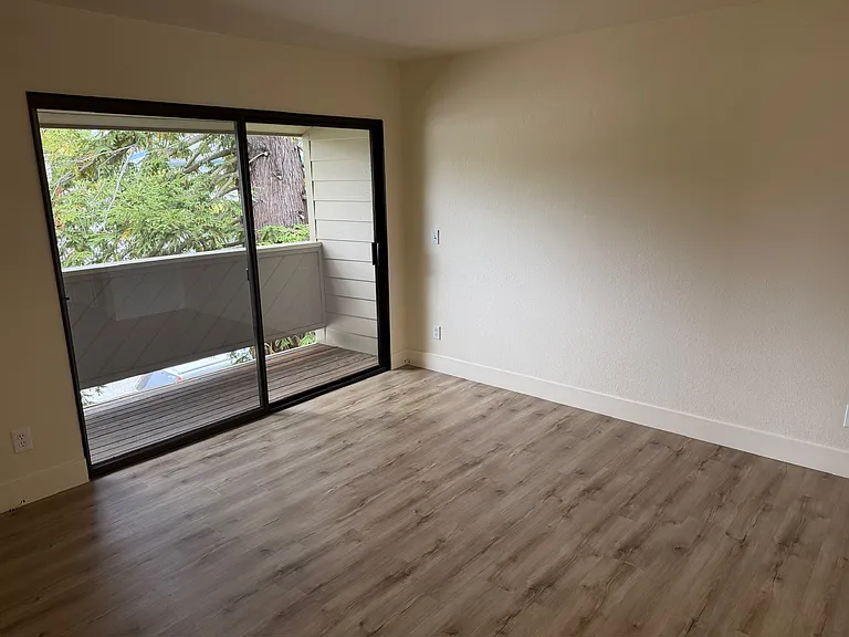 2069 Dolphin Dr — Photo 12