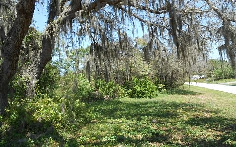 5th image of 1007 Tea Rose St