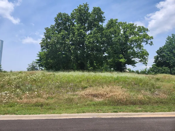 Lot 329 Emerald Pointe Drive, Hollister, MO 65672