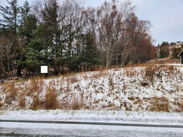 1080 Eric Ln, Homer, AK 99603