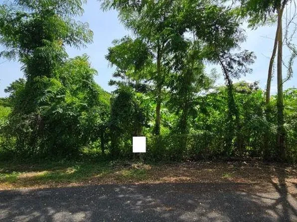 Carr #962, Canovanas, PR 00729