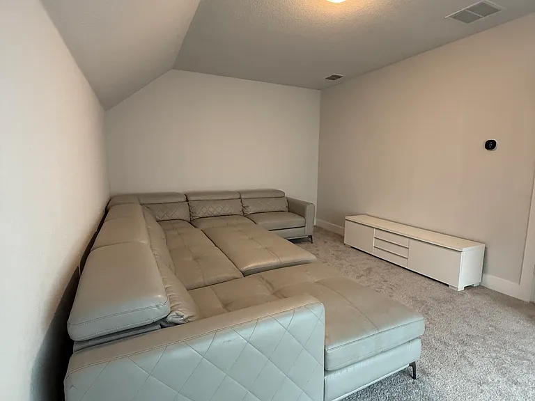 Media room