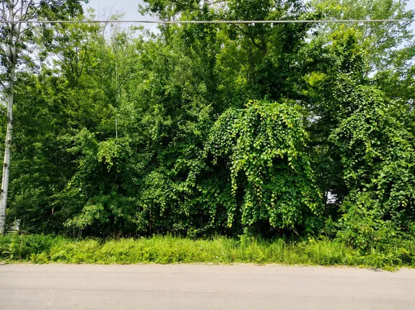 2 Chippewa Trl, Prudenville, MI 48651