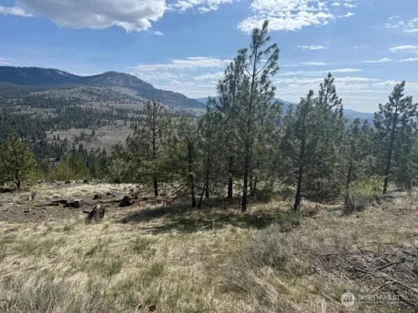 111 W Cayuse Mtn, Tonasket, WA 98855