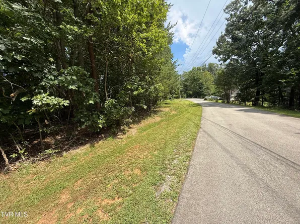 Iron Gate Dr #969, White Pine, TN 37890