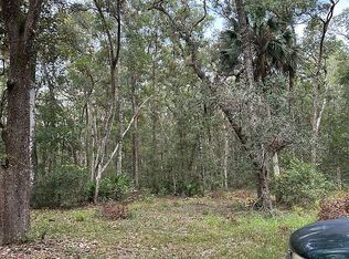 19 NE 212 Ave, Old Town, FL 32680