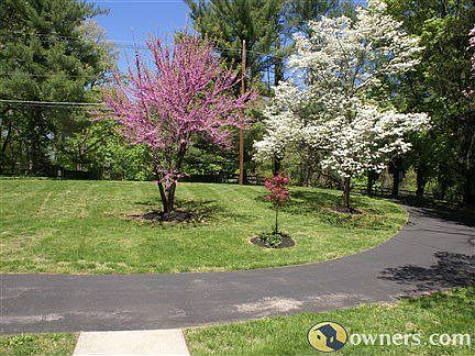semi-circular driveway