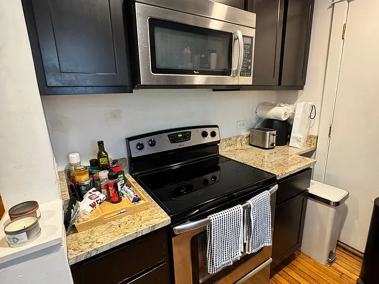 501 W Deming Pl #2S — Photo 12