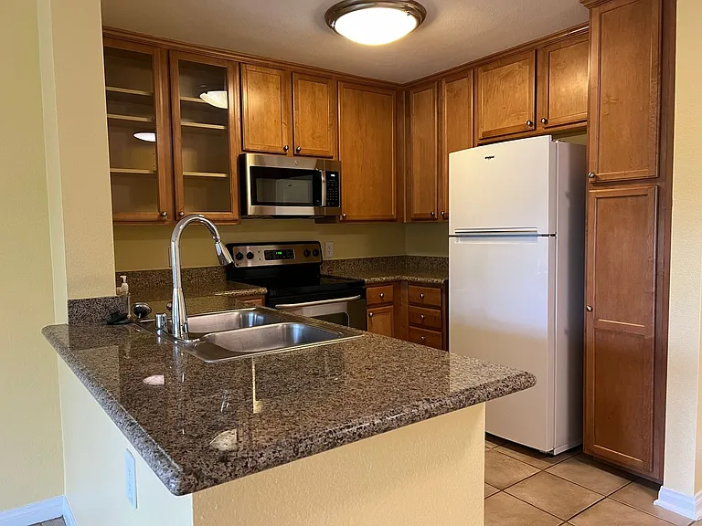 1023 Vista Del Cerro Dr #203 — Photo 7