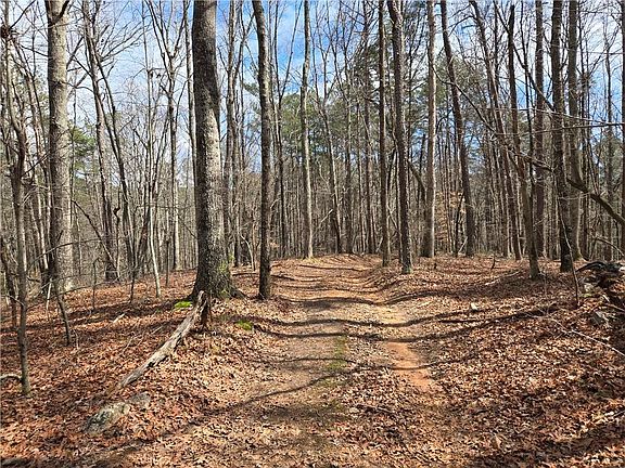 4th image of 789 Allred Mill Rd