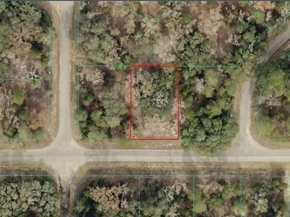 Guava Trl Lot 2, Ocklawaha, FL 32179