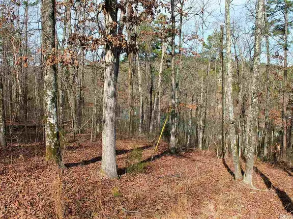 (undisclosed Address), Heber Springs, AR 72543