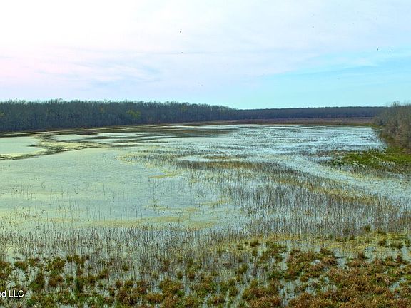 38th image of this home