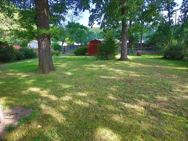 back yard