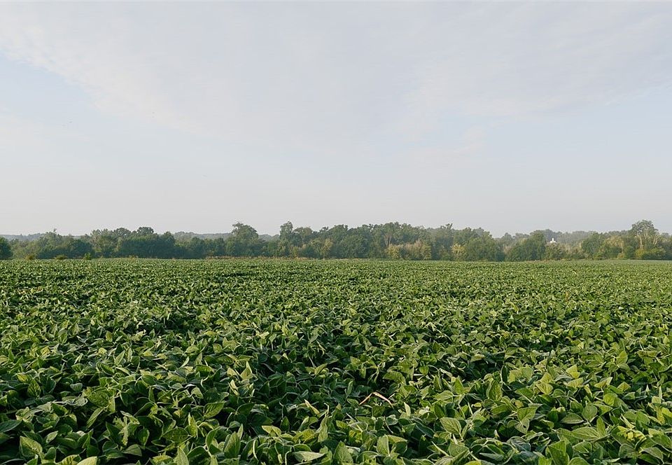 1st image of N Kohler Rd