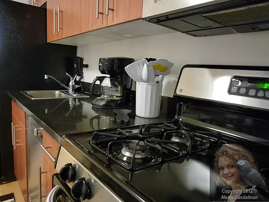 Rented by New York Residence | media 49