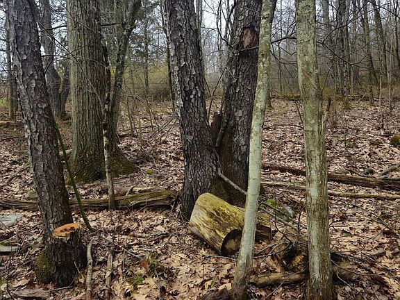 5th image of 0 Kilmer Rd
