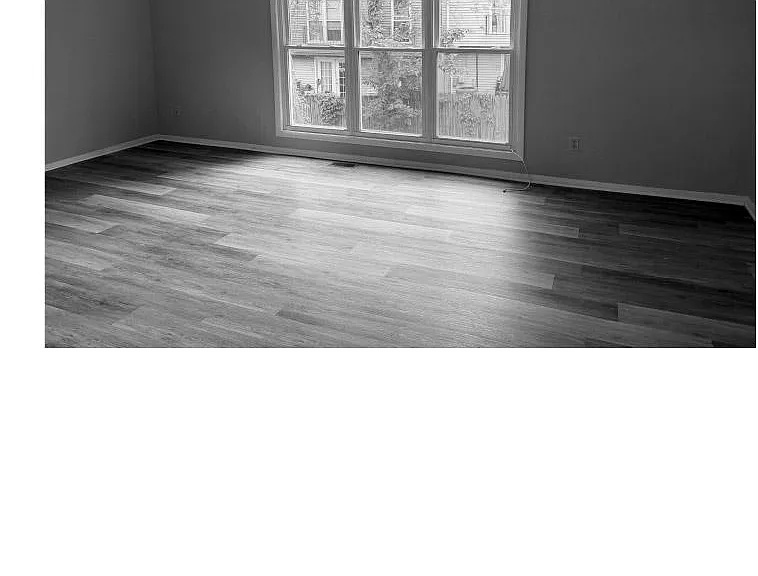 1904 Eloise Ln — Photo 4