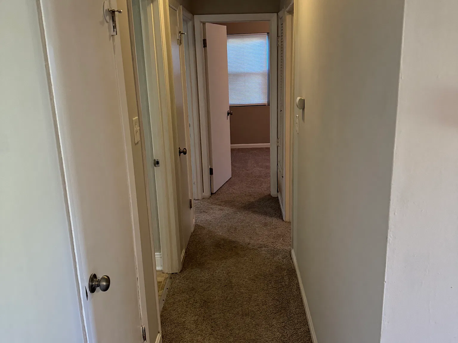 3 bed, 1284 sqft, $1,450 — Photo 4