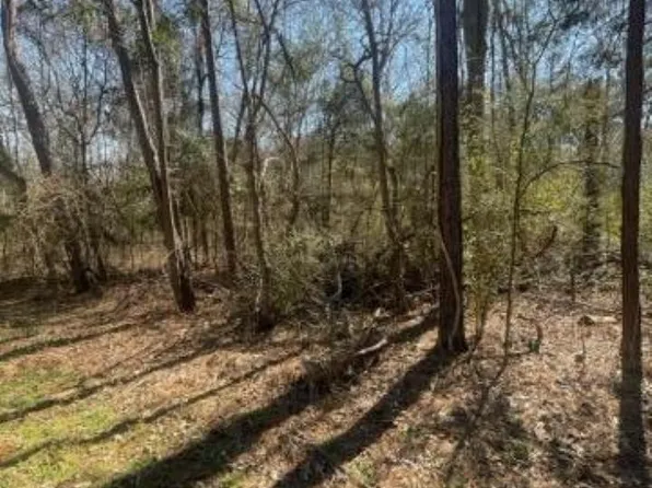 214 Forest St, Bullard, TX 75757