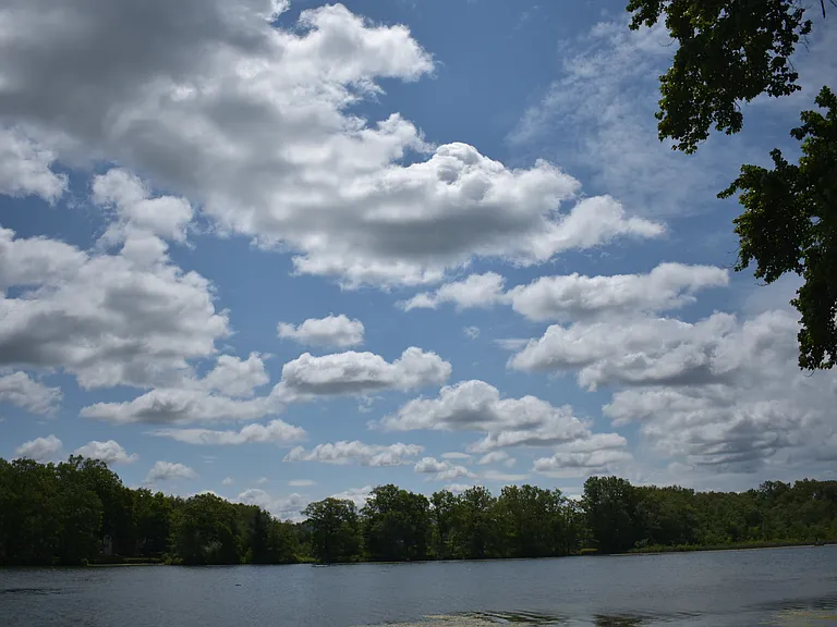 19 Lake Shore Dr — Photo 44
